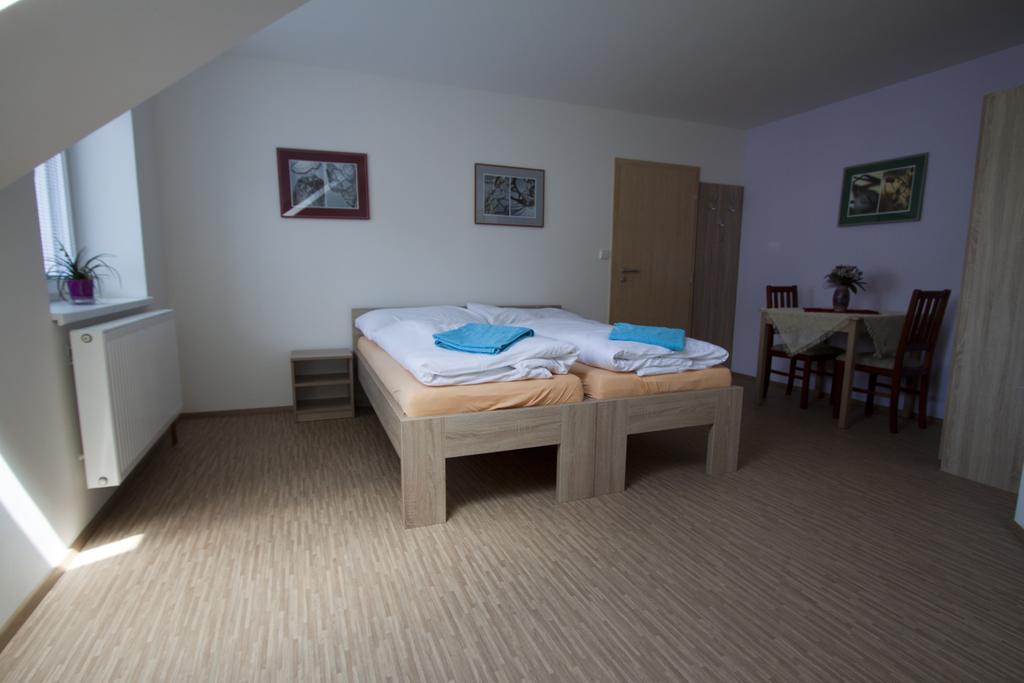 Aneta Guest house *