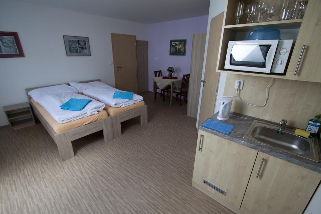 Aneta Guest house Luhacovice