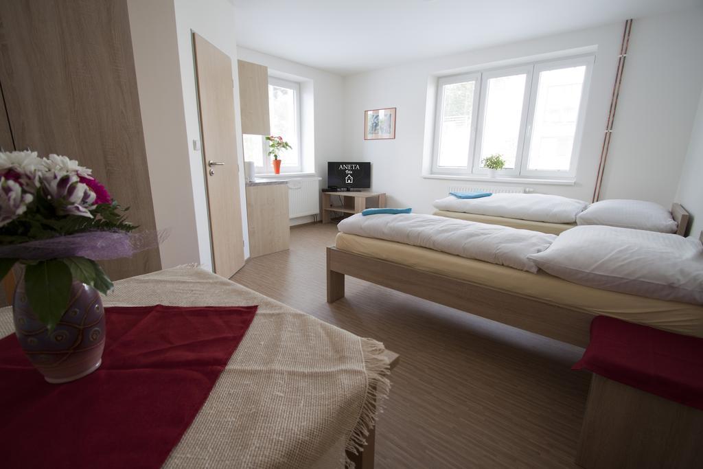 Aneta Guest house *